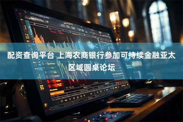 配资查询平台 上海农商银行参加可持续金融亚太区域圆桌论坛