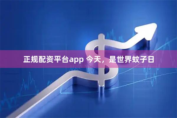 正规配资平台app 今天，是世界蚊子日